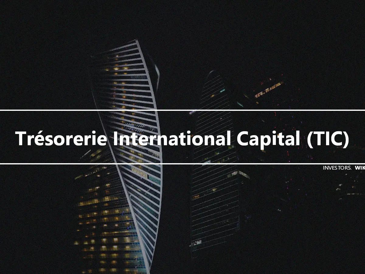 Trésorerie International Capital (TIC)