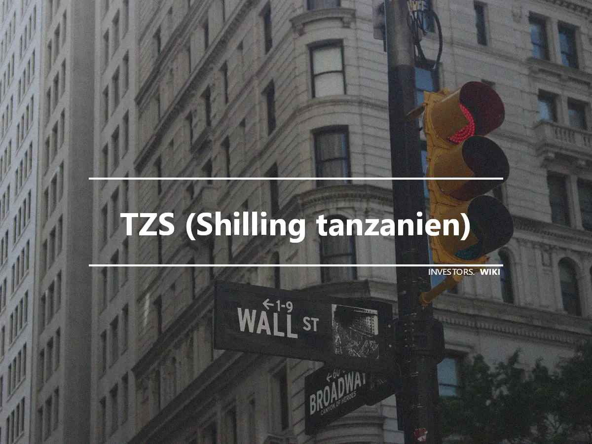 TZS (Shilling tanzanien)