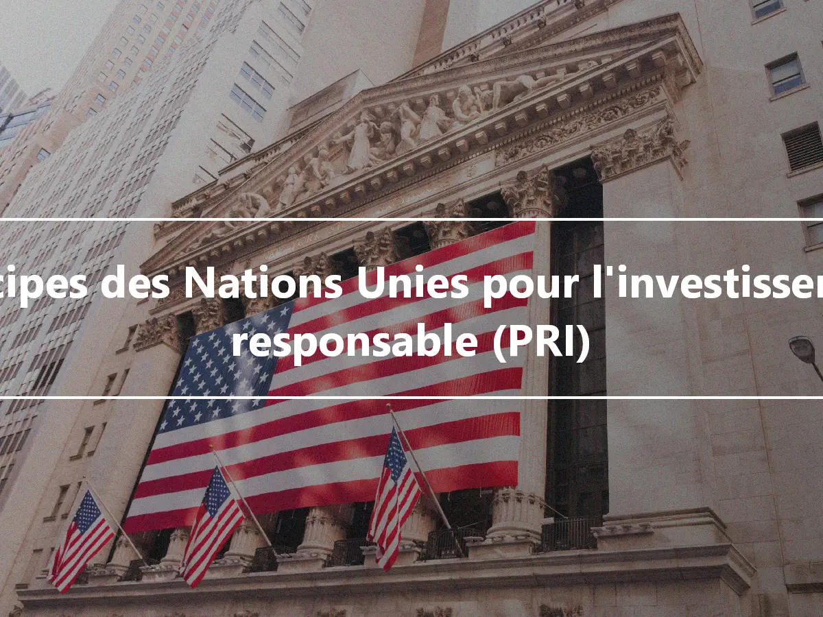 Principes des Nations Unies pour l'investissement responsable (PRI)