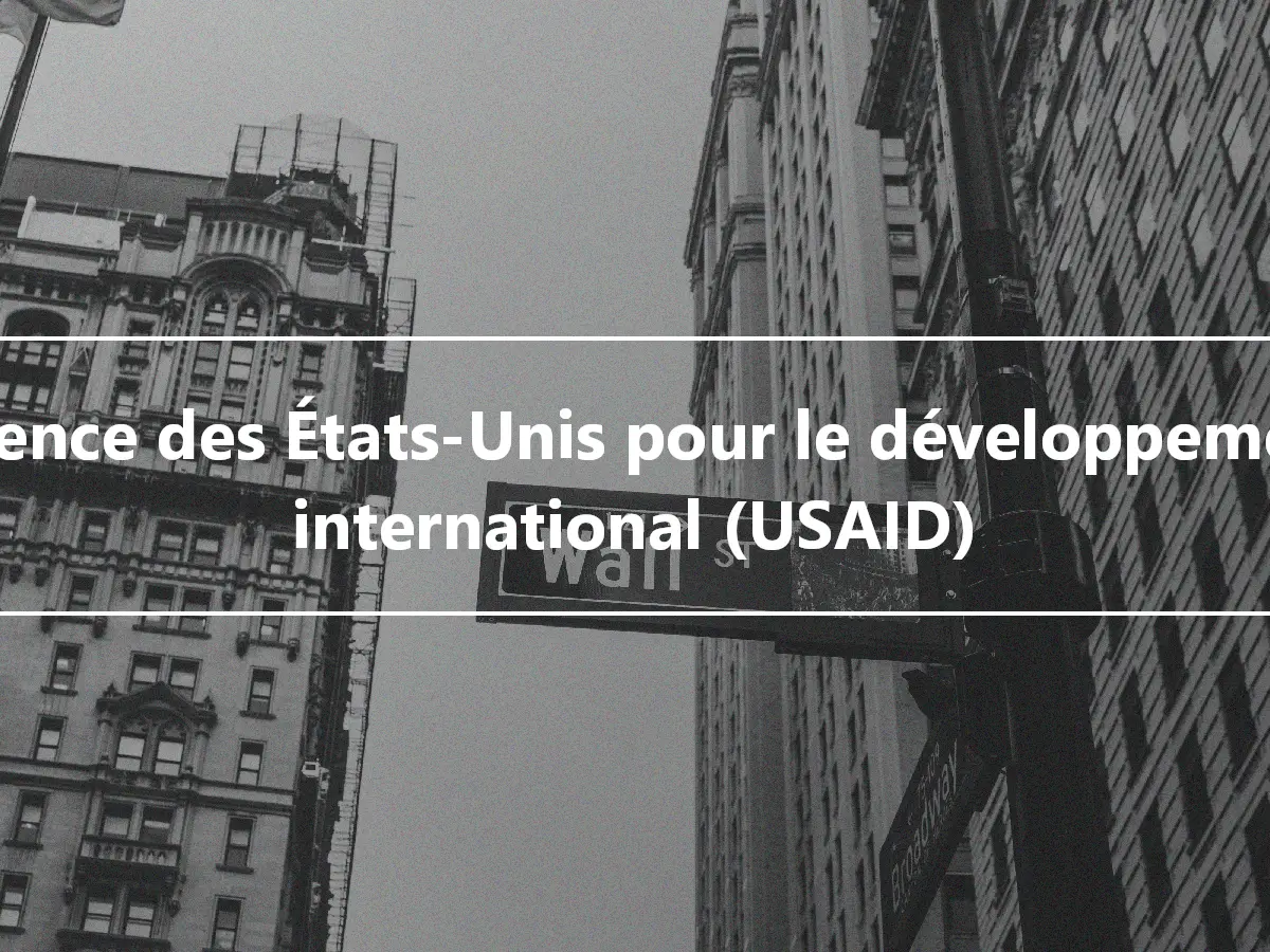 Agence des États-Unis pour le développement international (USAID)