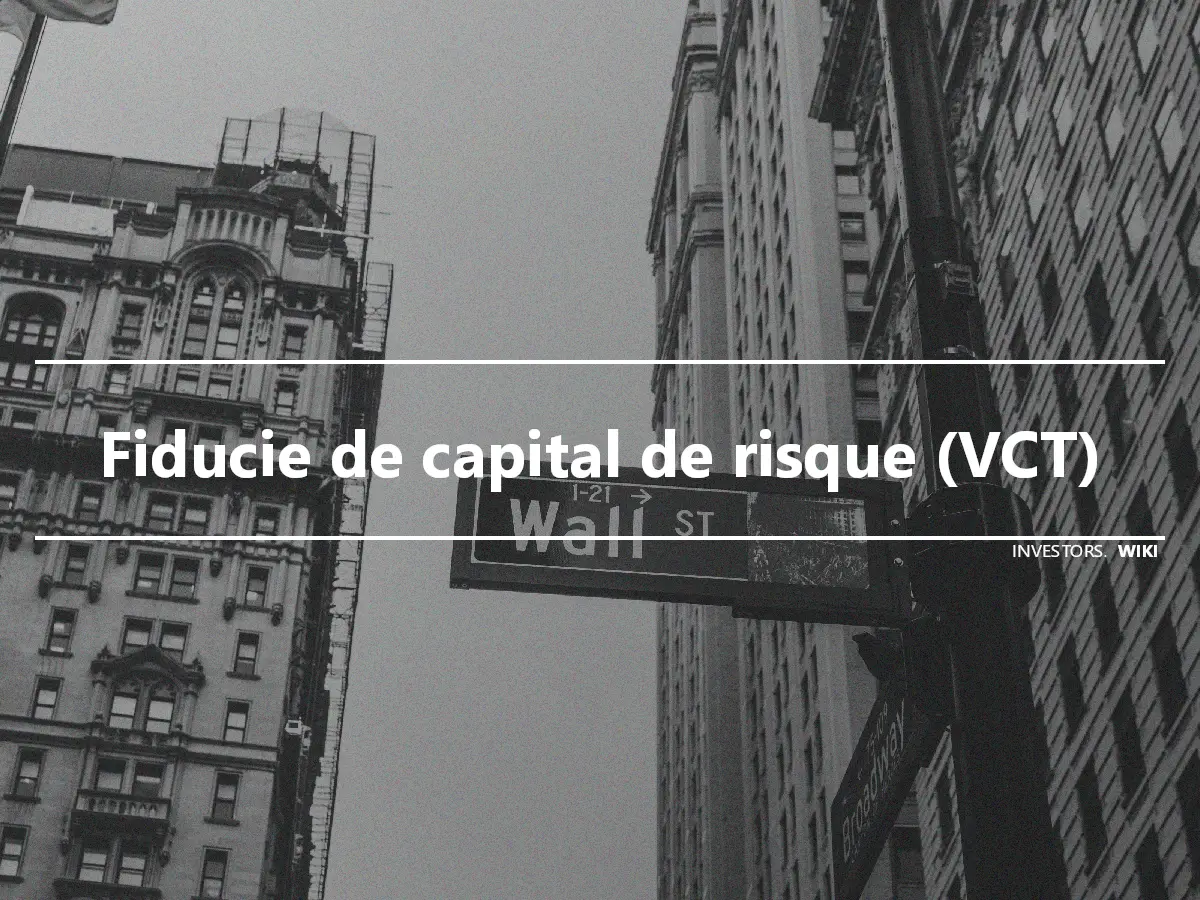 Fiducie de capital de risque (VCT)