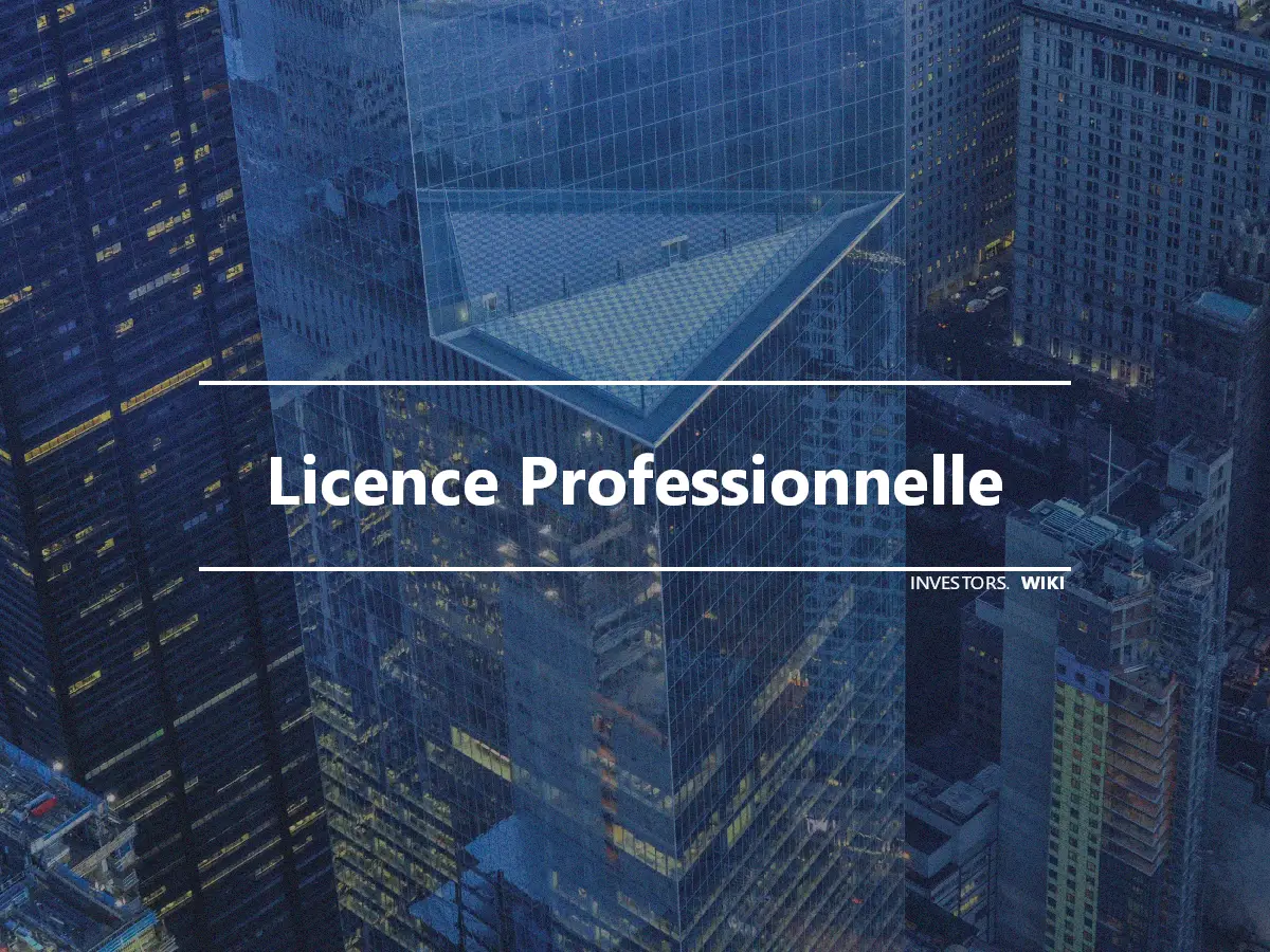 Licence Professionnelle