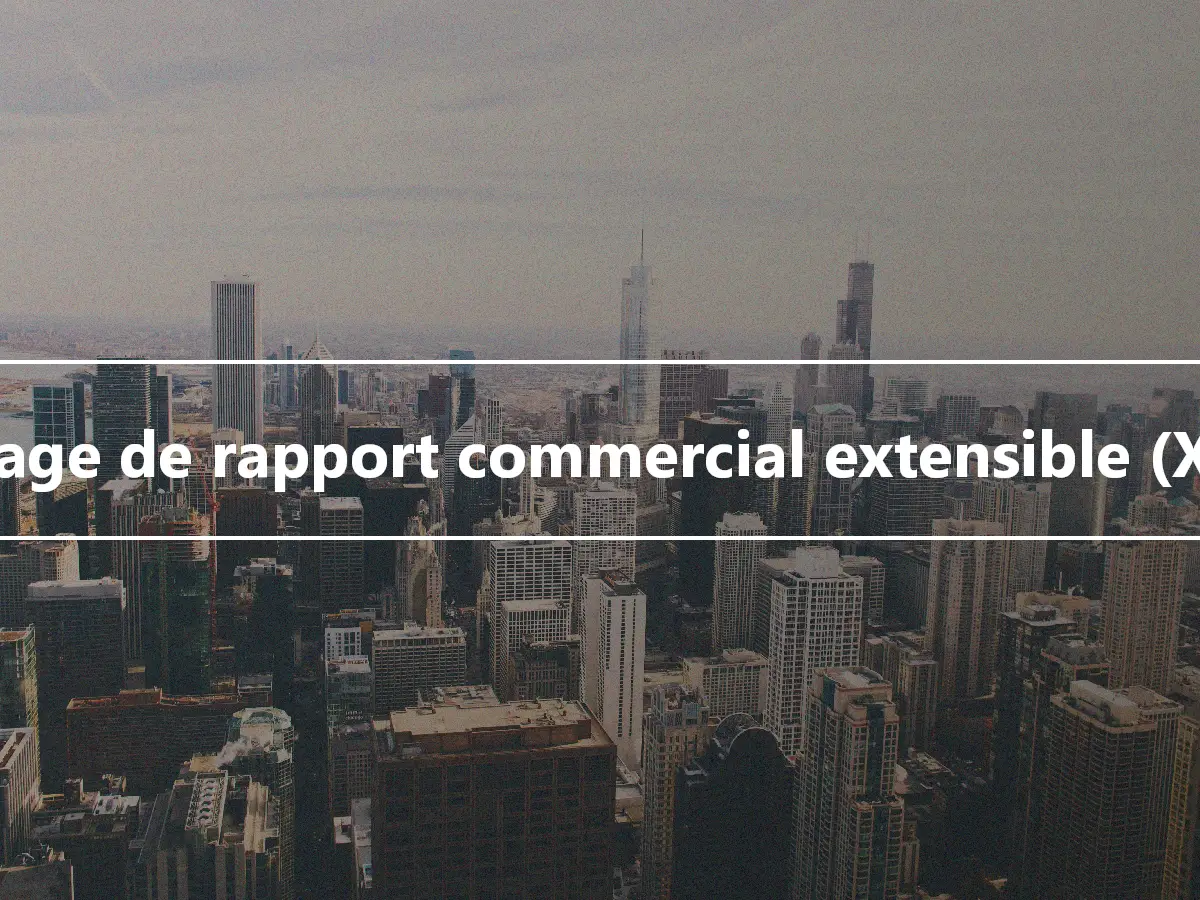 Langage de rapport commercial extensible (XBRL)