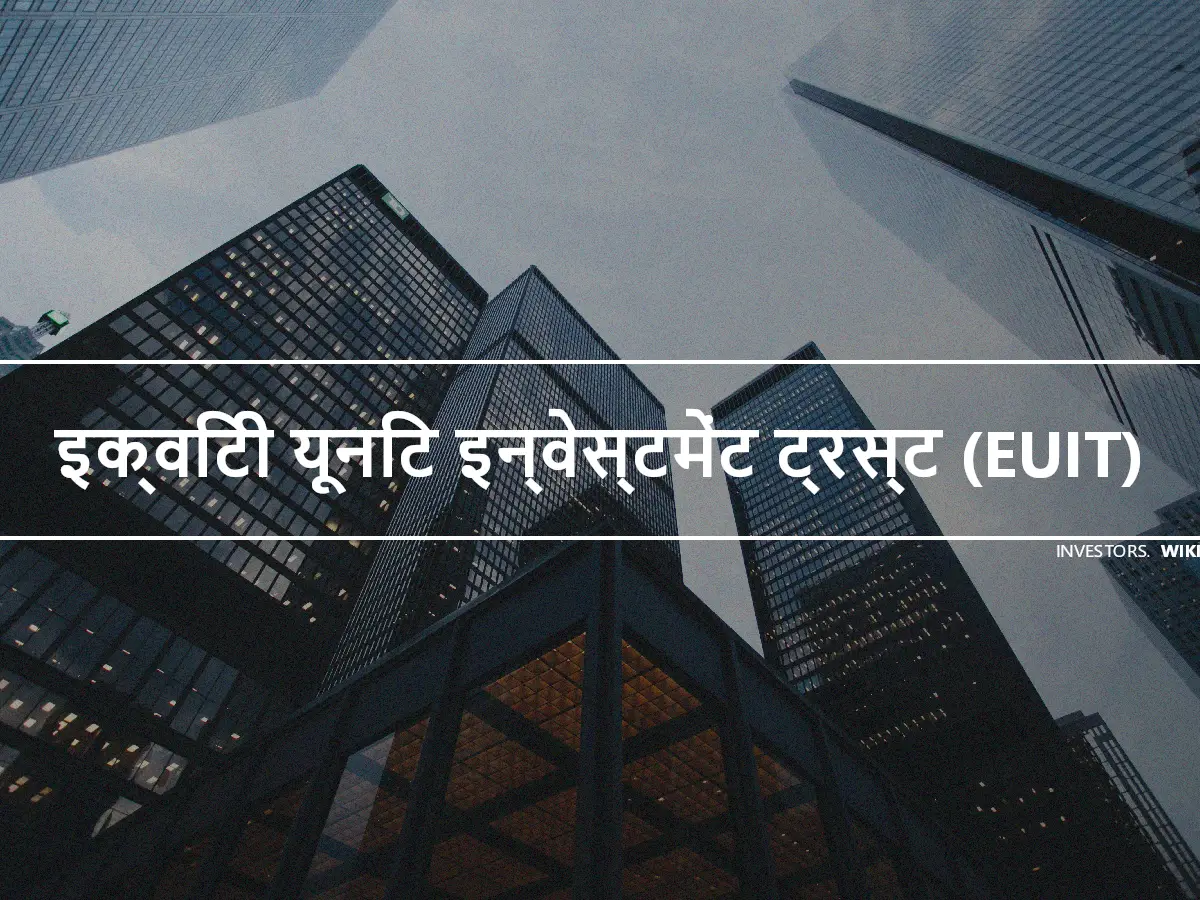 इक्विटी यूनिट इन्वेस्टमेंट ट्रस्ट (EUIT)