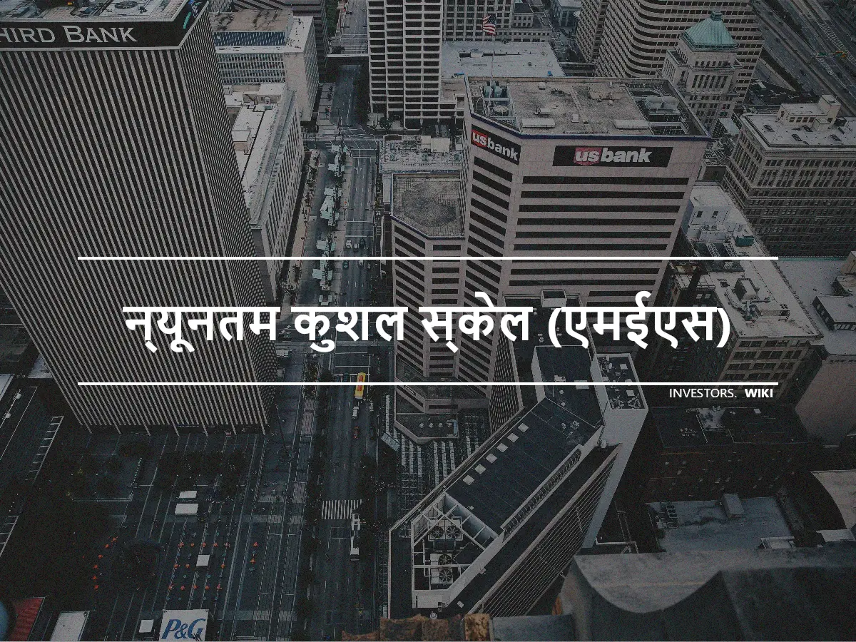 न्यूनतम कुशल स्केल (एमईएस)