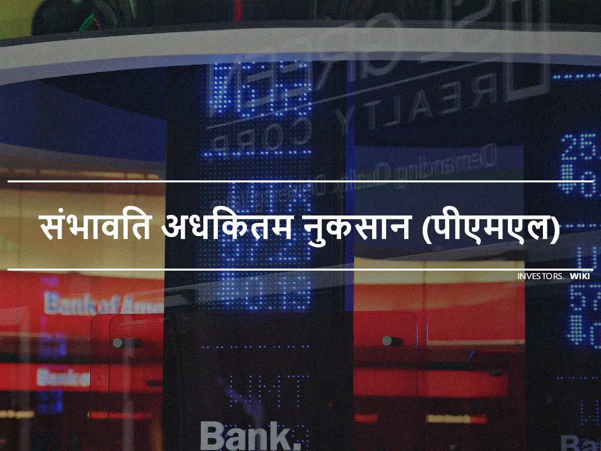 संभावित अधिकतम नुकसान (पीएमएल)