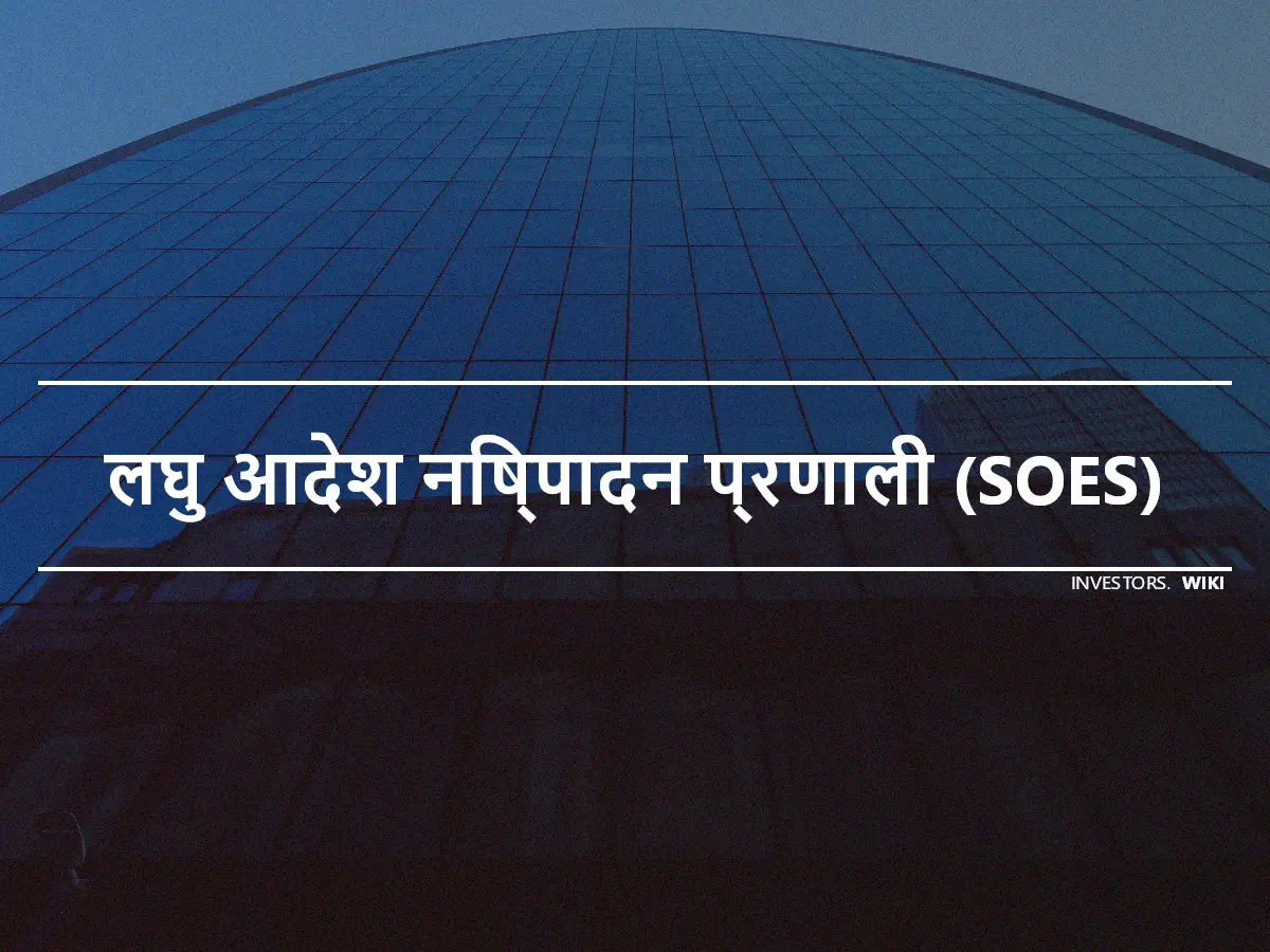 लघु आदेश निष्पादन प्रणाली (SOES)