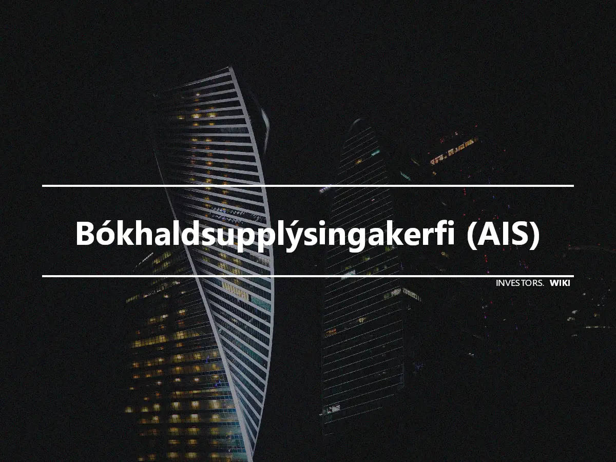 Bókhaldsupplýsingakerfi (AIS)