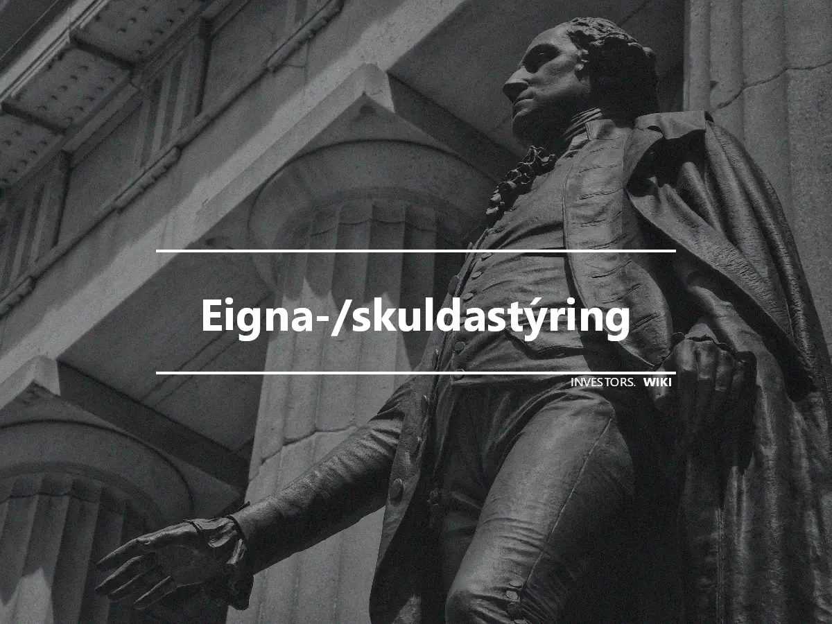 Eigna-/skuldastýring