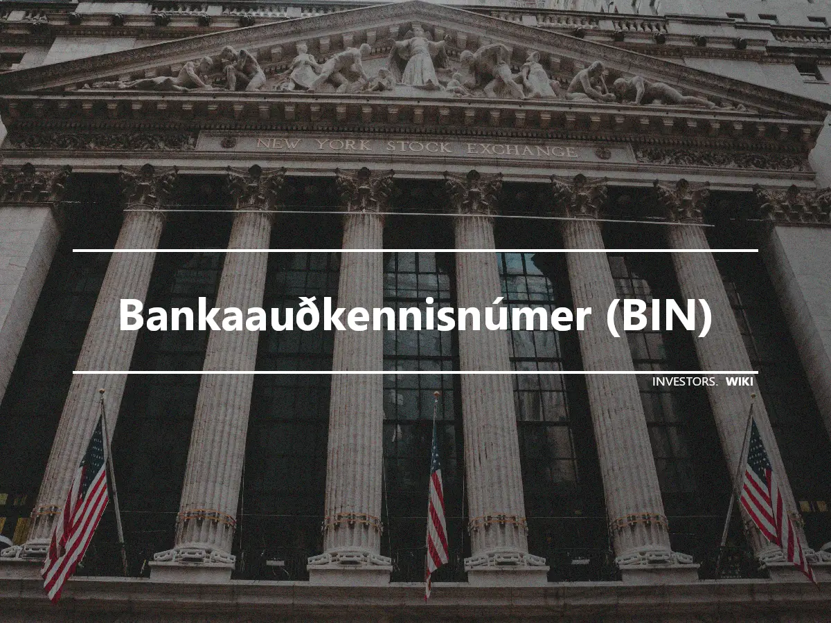 Bankaauðkennisnúmer (BIN)