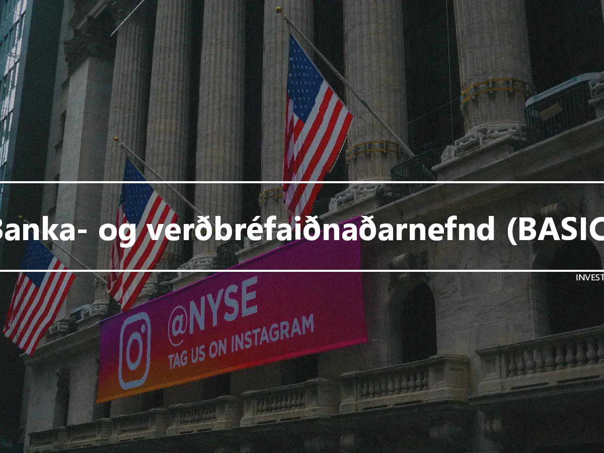 Banka- og verðbréfaiðnaðarnefnd (BASIC)