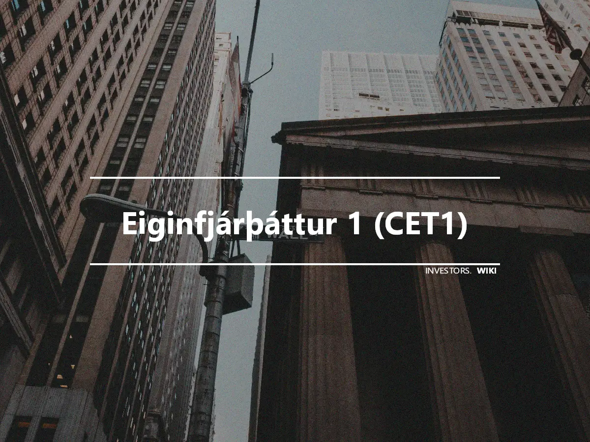 Eiginfjárþáttur 1 (CET1)