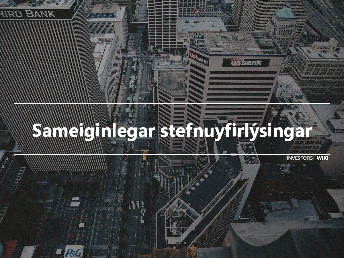 Sameiginlegar stefnuyfirlýsingar