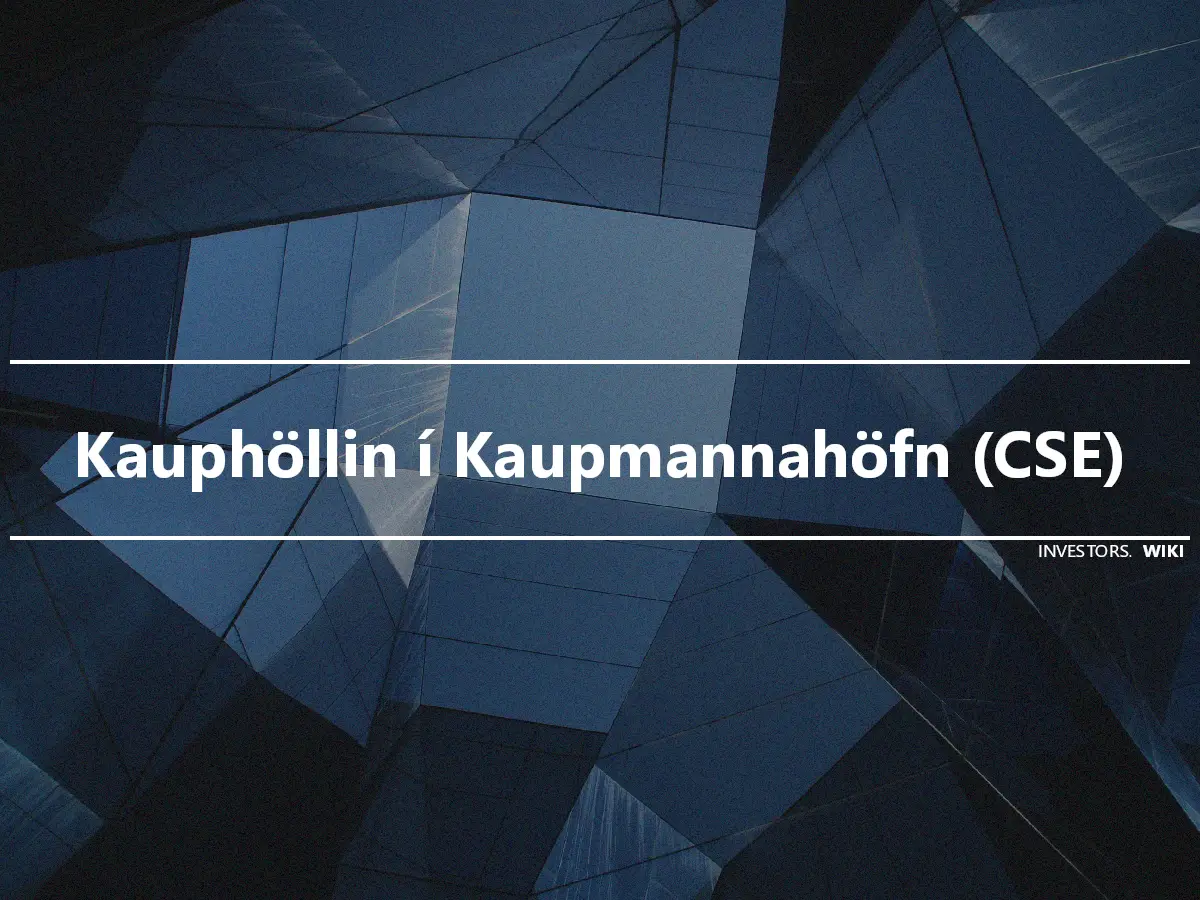 Kauphöllin í Kaupmannahöfn (CSE)