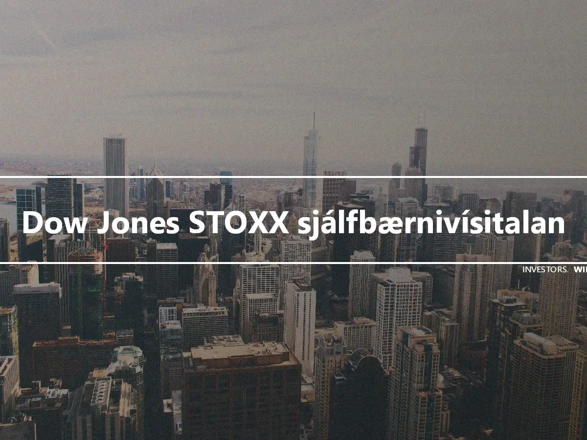 Dow Jones STOXX sjálfbærnivísitalan