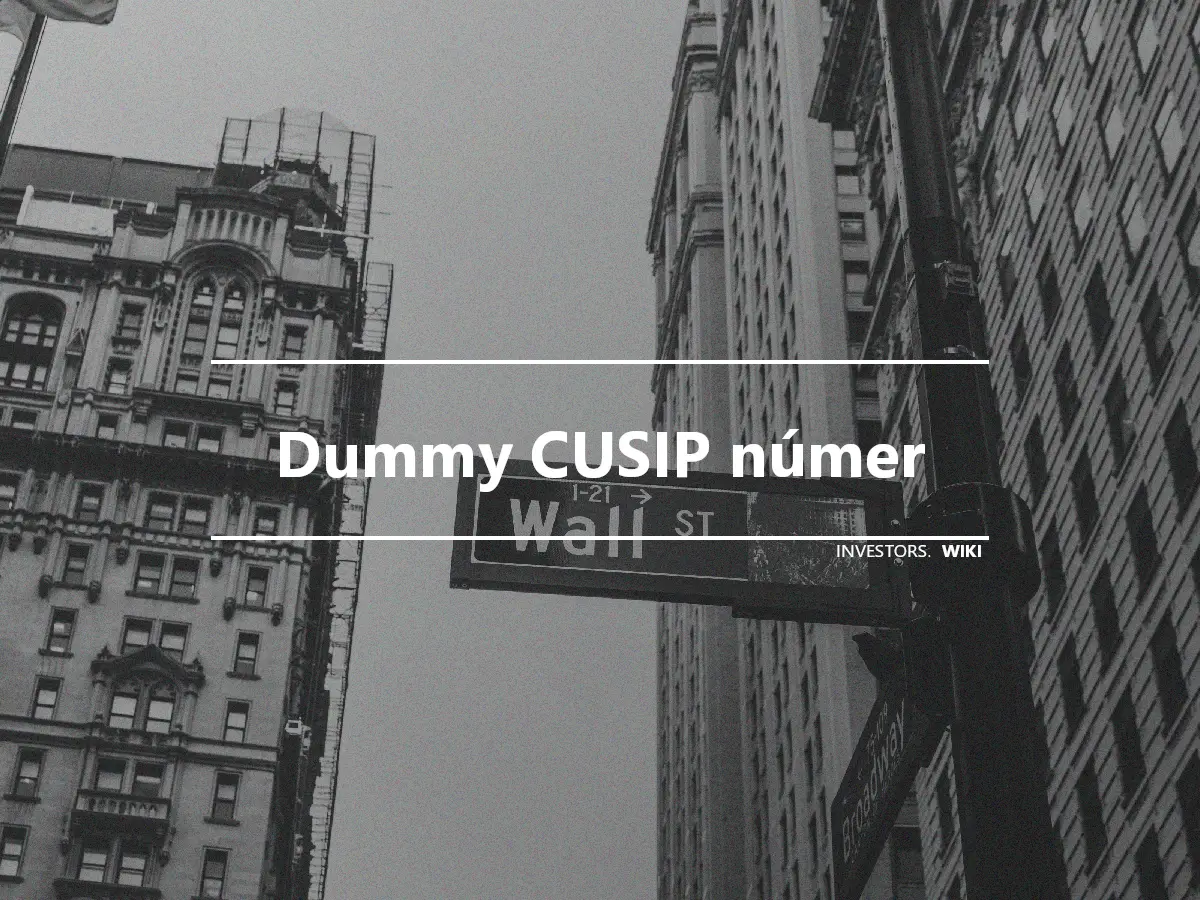 Dummy CUSIP númer