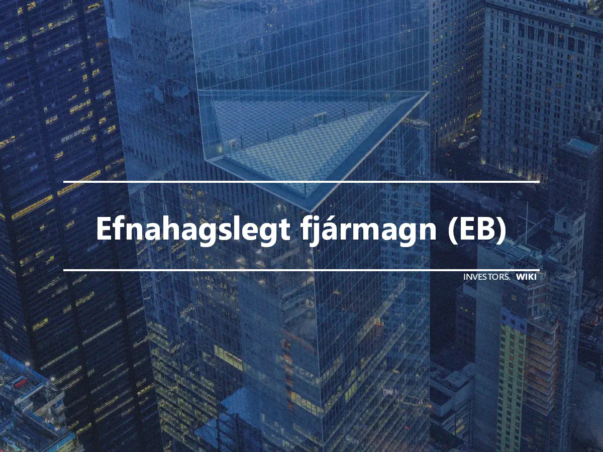 Efnahagslegt fjármagn (EB)