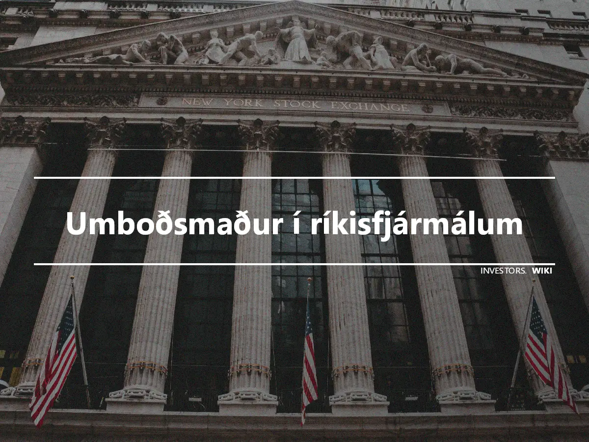 Umboðsmaður í ríkisfjármálum