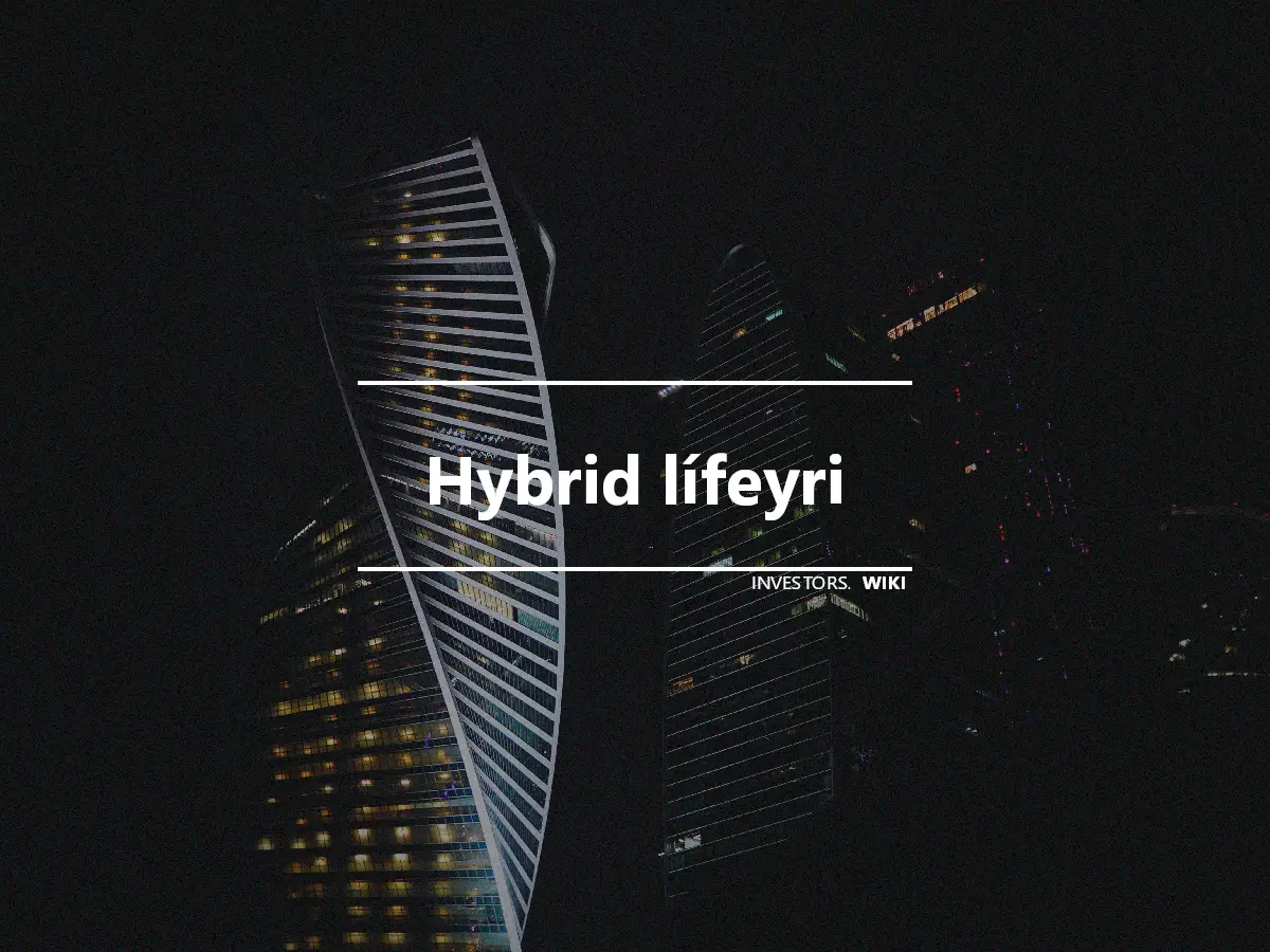 Hybrid lífeyri