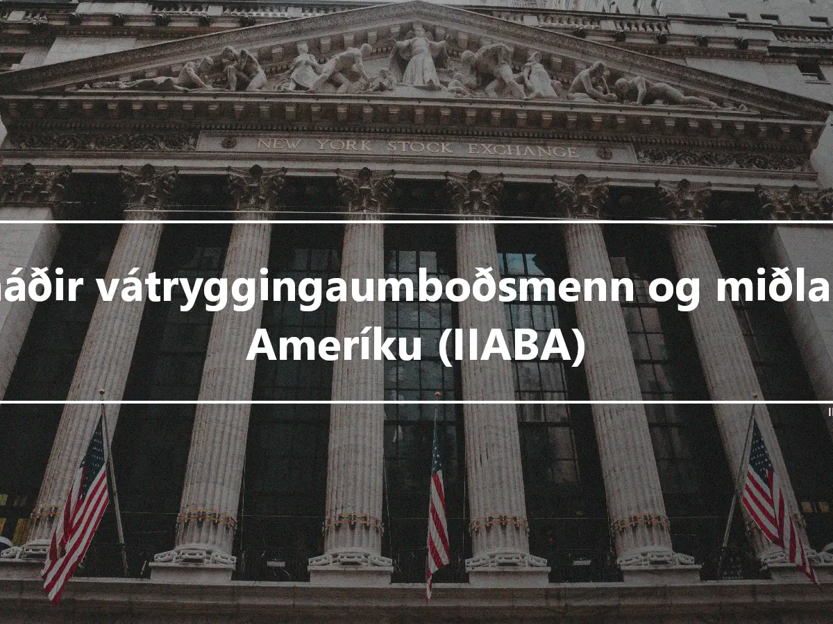 Óháðir vátryggingaumboðsmenn og miðlarar Ameríku (IIABA)