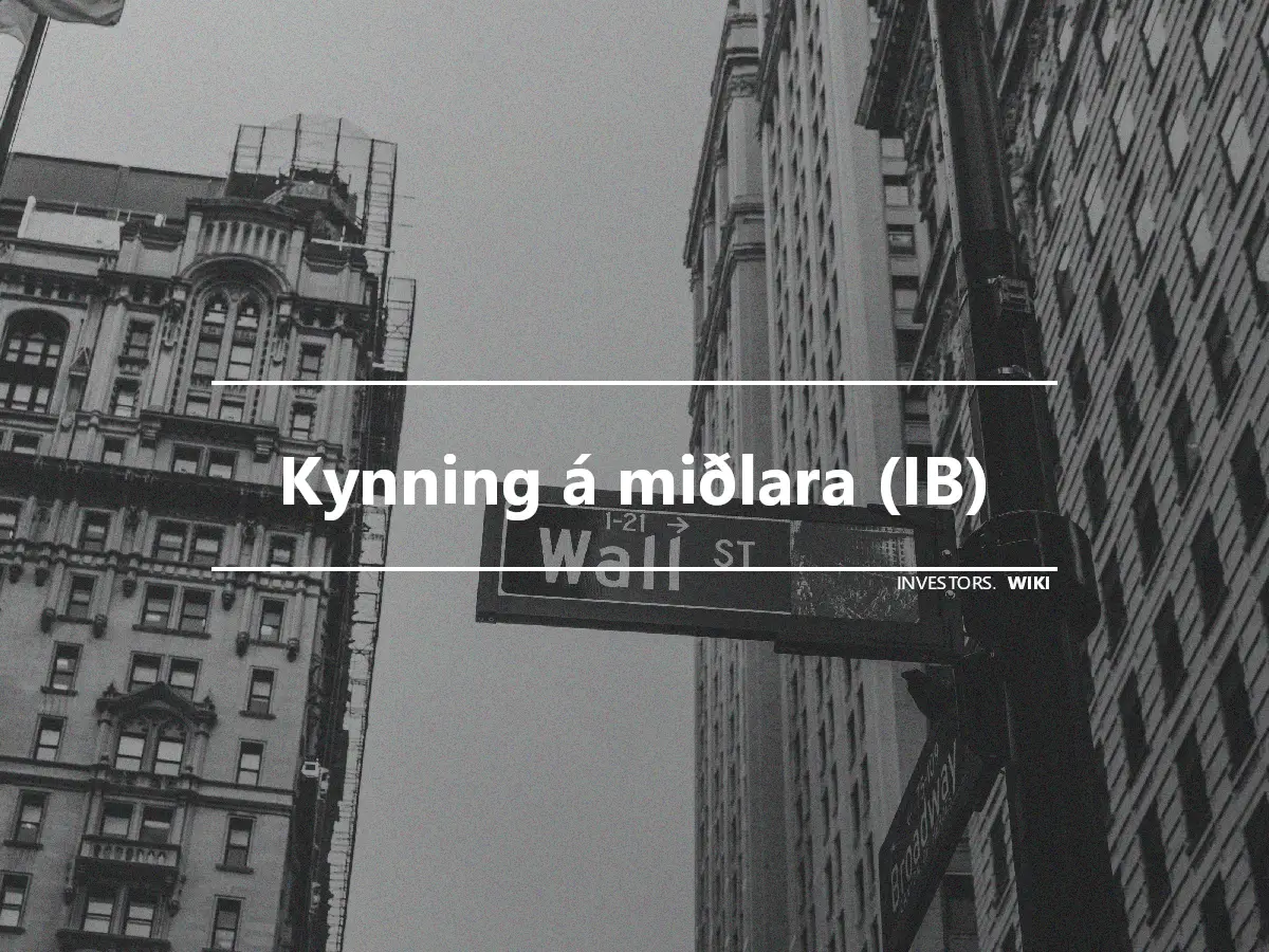 Kynning á miðlara (IB)