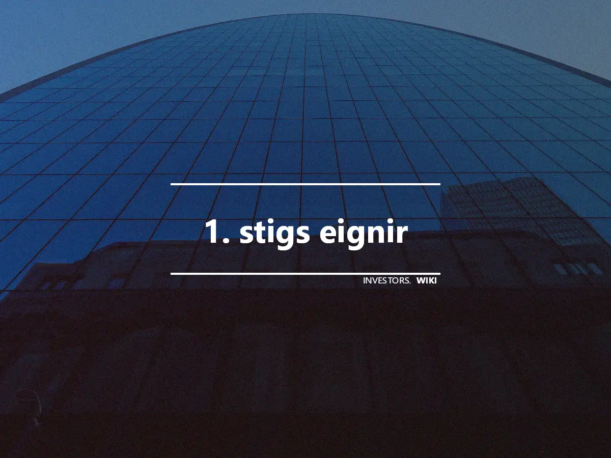 1. stigs eignir