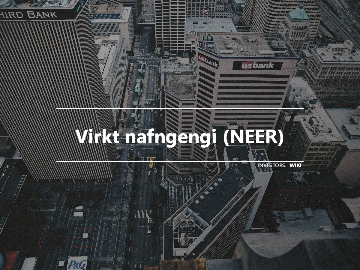 Virkt nafngengi (NEER)