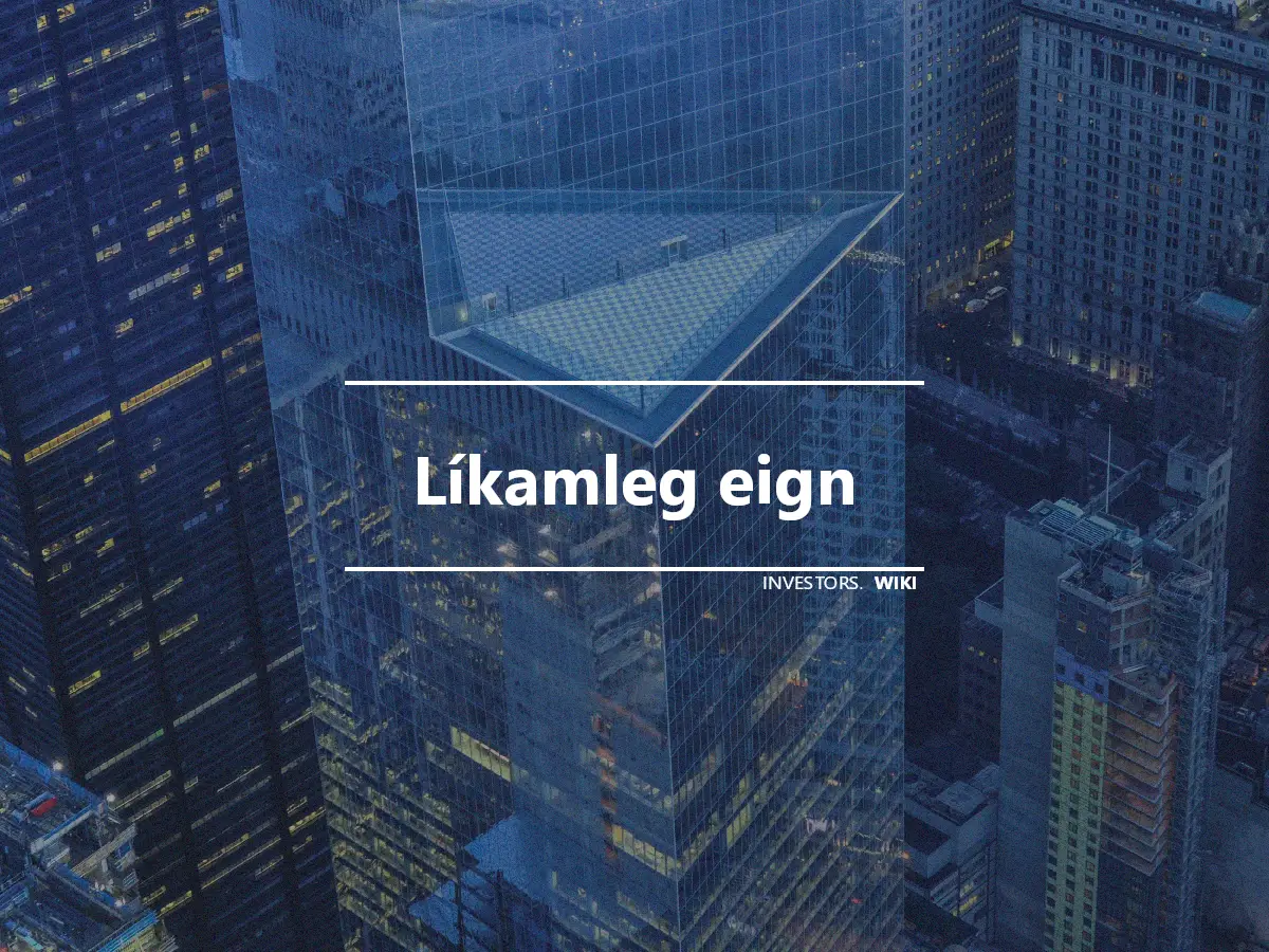 Líkamleg eign