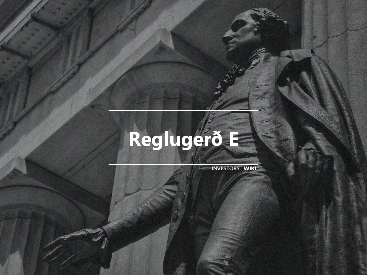 Reglugerð E