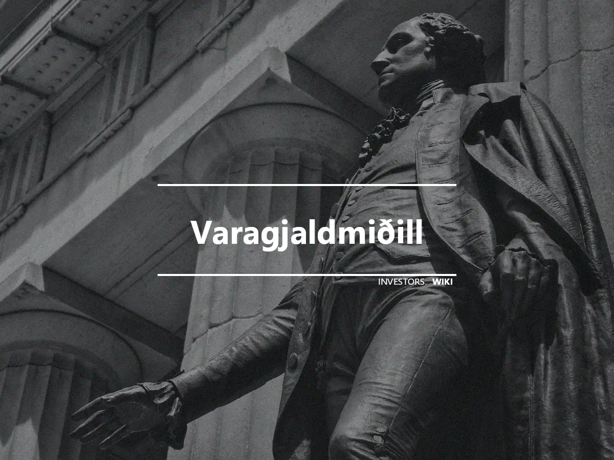 Varagjaldmiðill