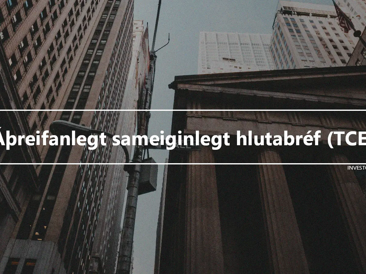 Áþreifanlegt sameiginlegt hlutabréf (TCE)