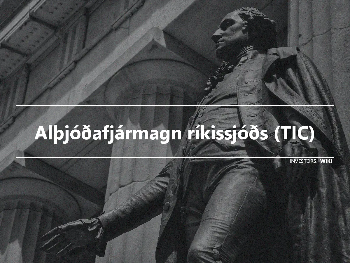 Alþjóðafjármagn ríkissjóðs (TIC)