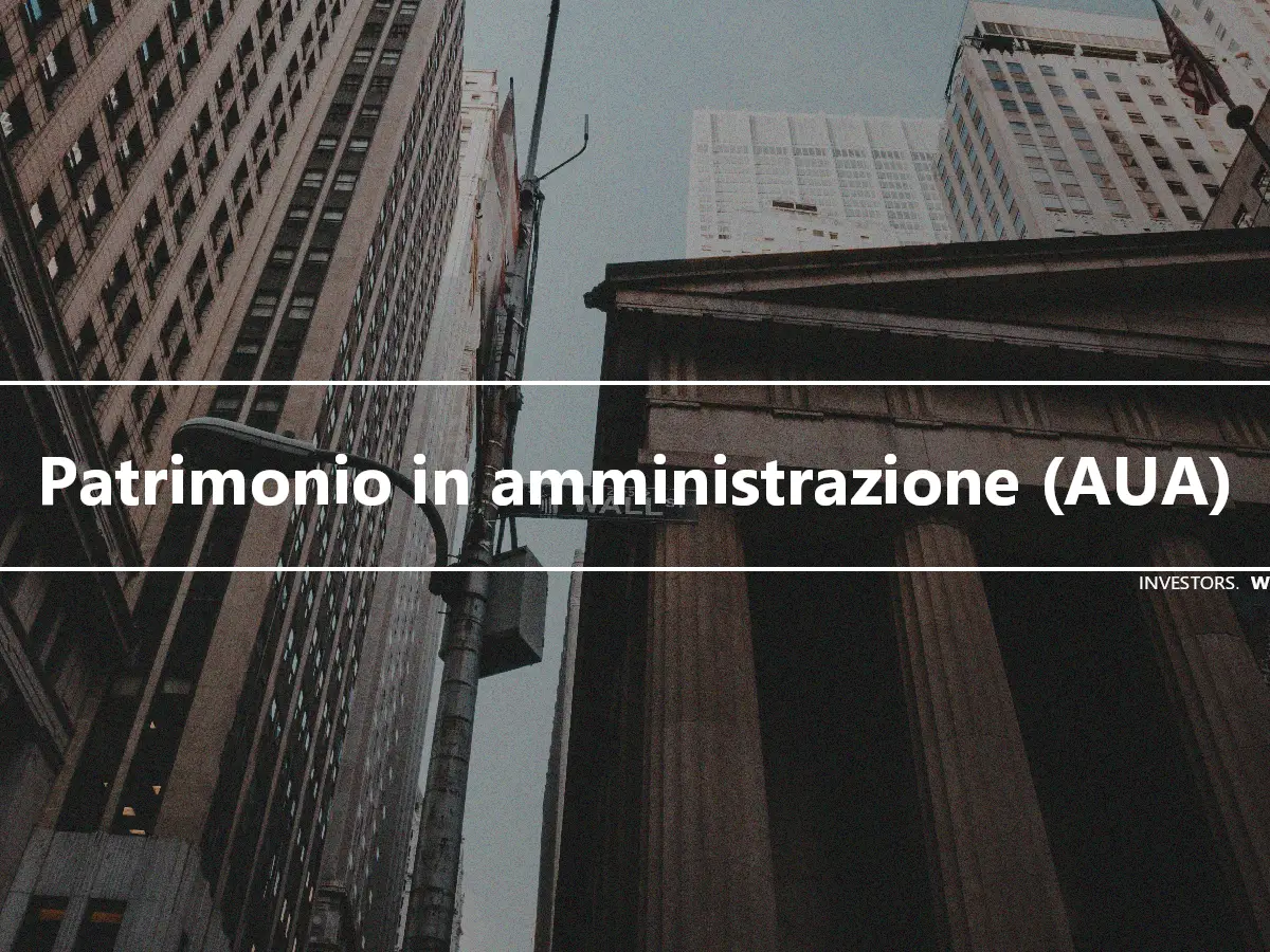 Patrimonio in amministrazione (AUA)