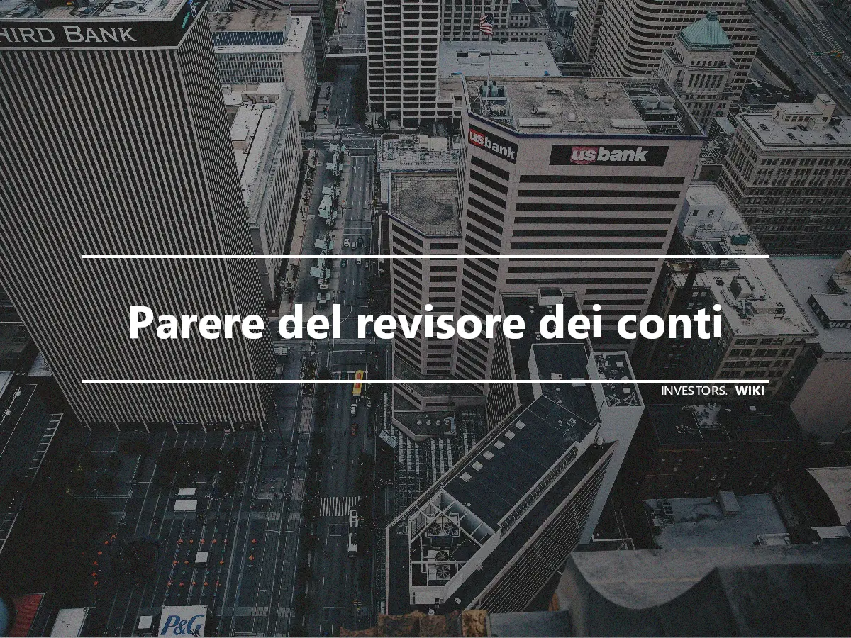 Parere del revisore dei conti