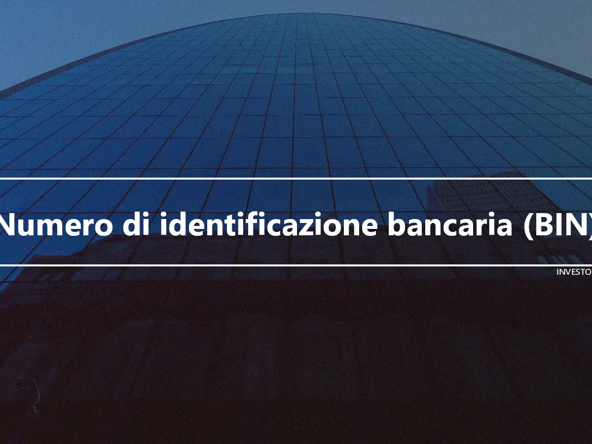 Numero di identificazione bancaria (BIN)
