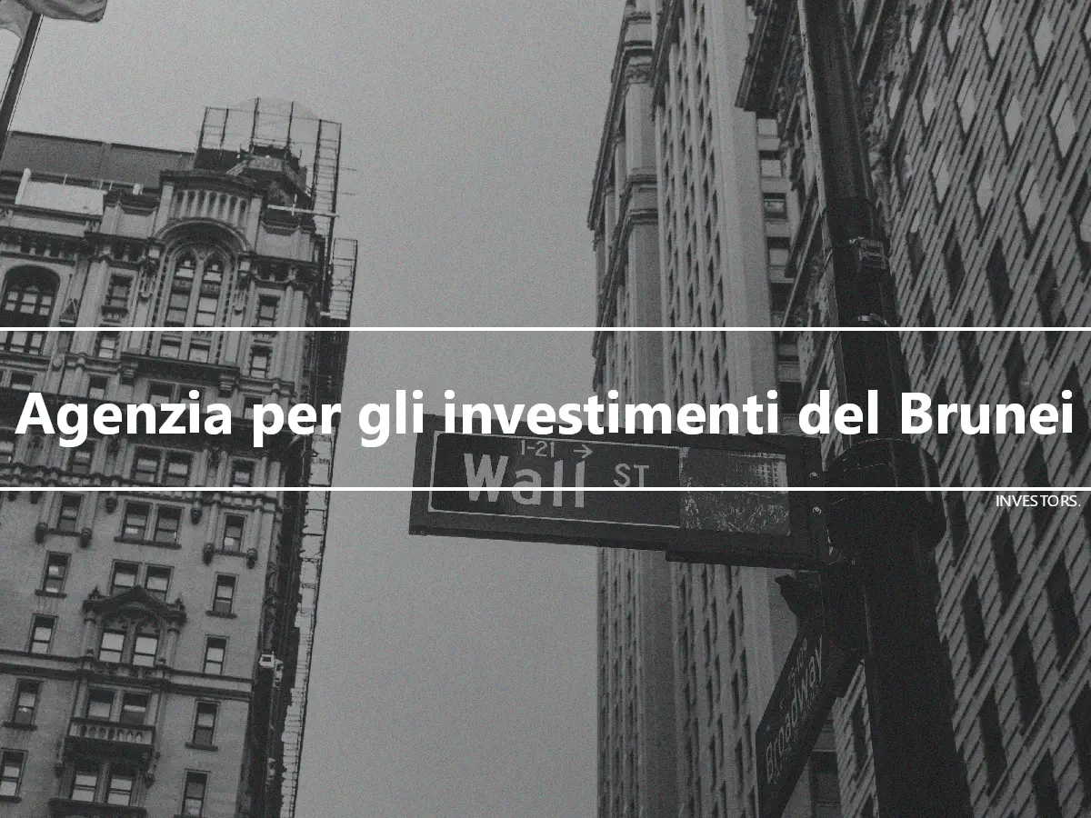 Agenzia per gli investimenti del Brunei