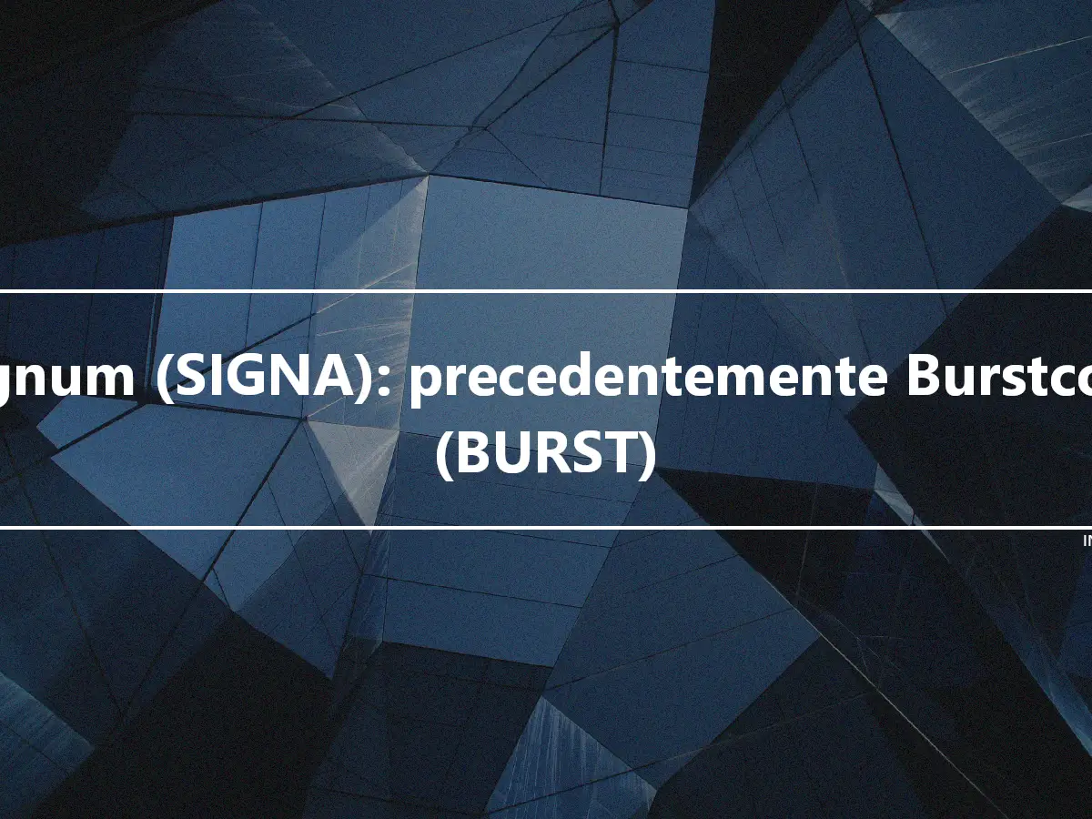 Signum (SIGNA): precedentemente Burstcoin (BURST)