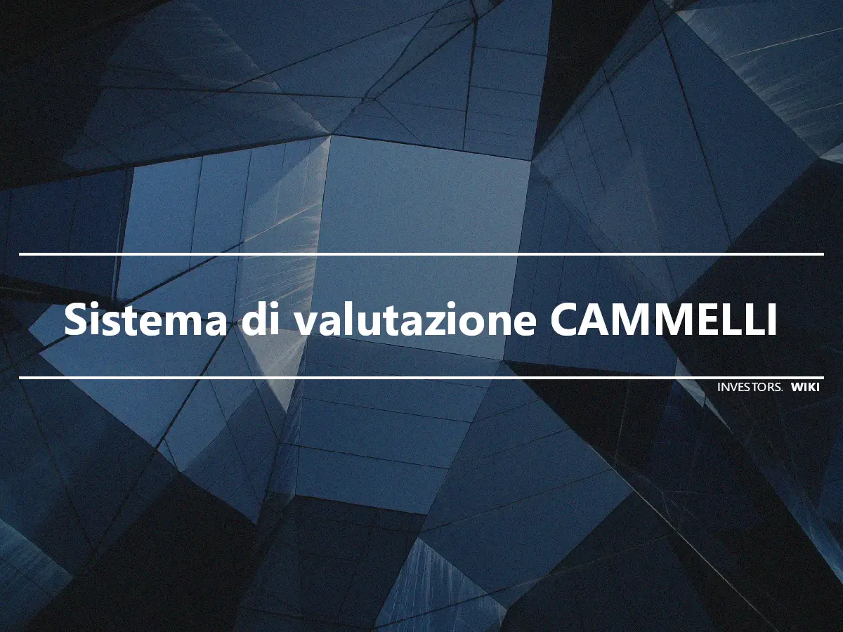 Sistema di valutazione CAMMELLI