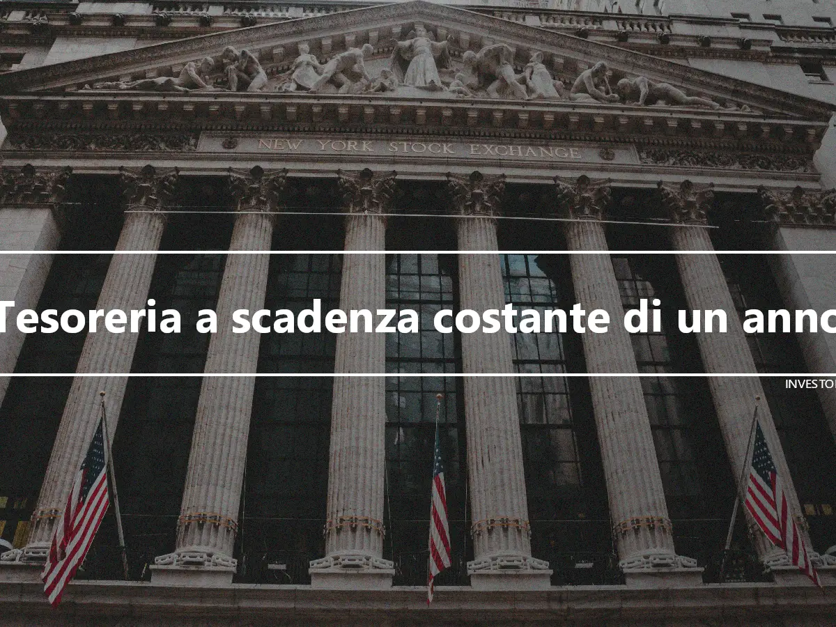 Tesoreria a scadenza costante di un anno