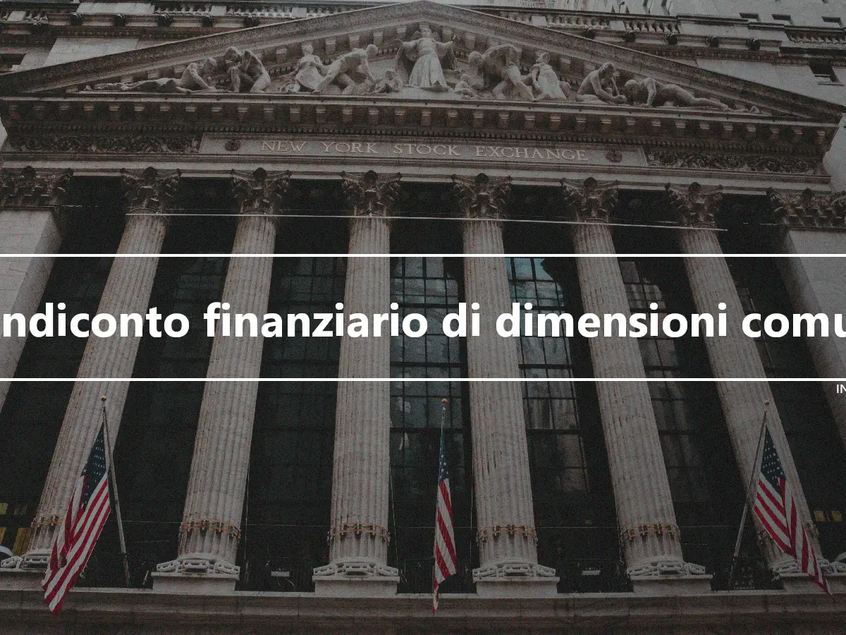 Rendiconto finanziario di dimensioni comuni