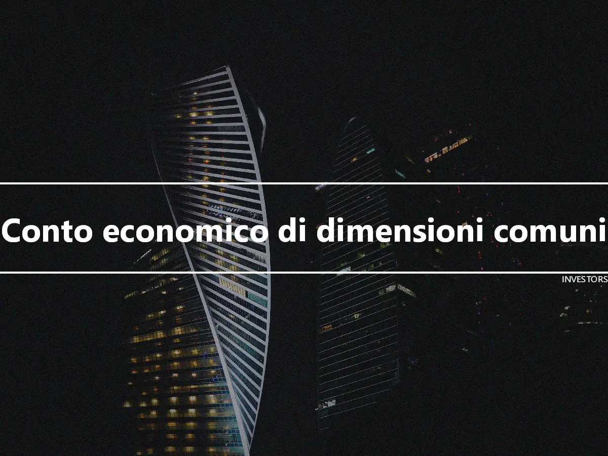 Conto economico di dimensioni comuni