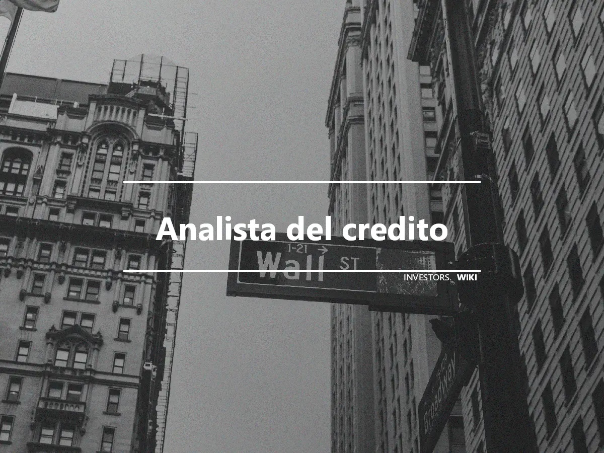 Analista del credito