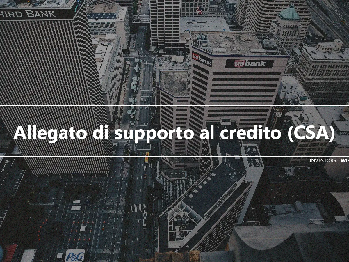 Allegato di supporto al credito (CSA)