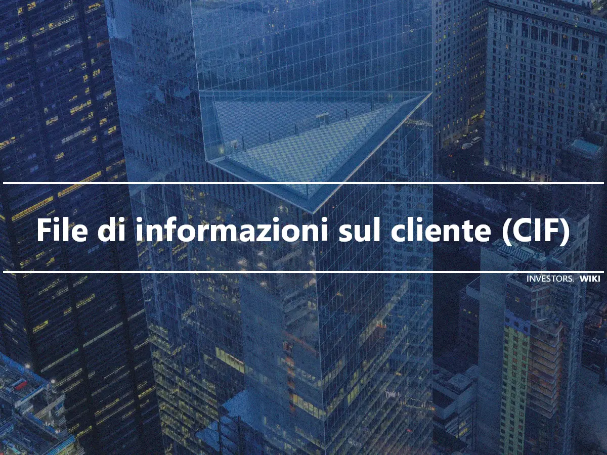 File di informazioni sul cliente (CIF)