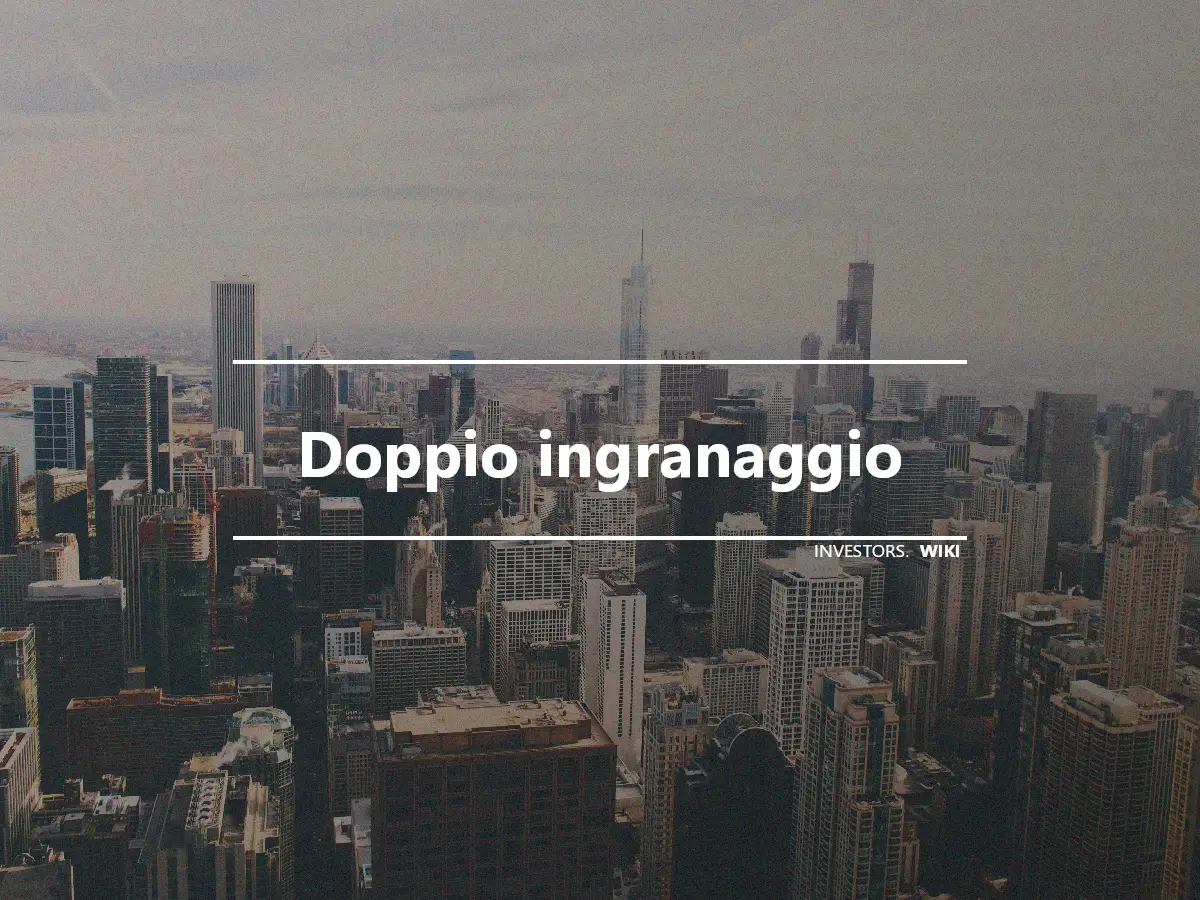 Doppio ingranaggio