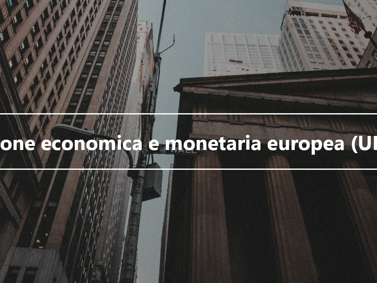Unione economica e monetaria europea (UEM)