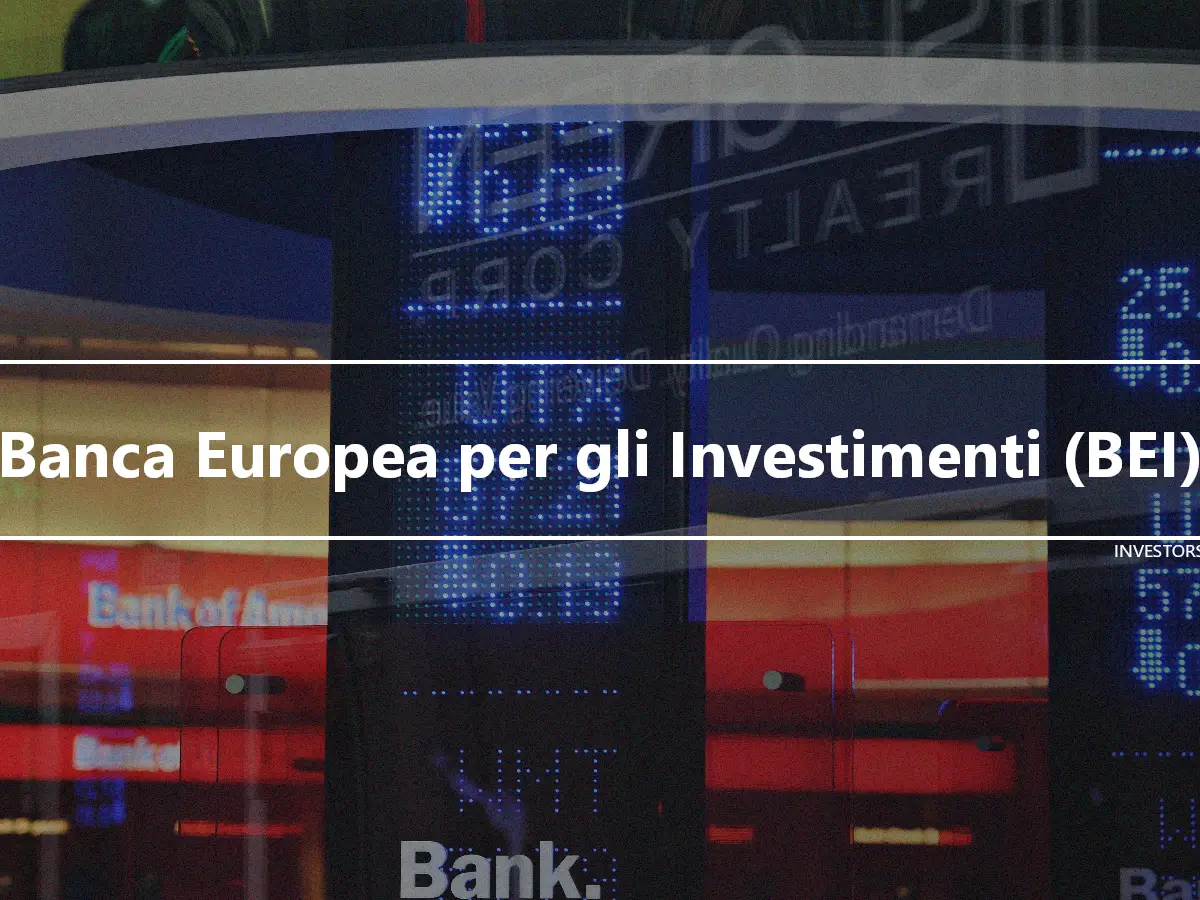 Banca Europea per gli Investimenti (BEI)