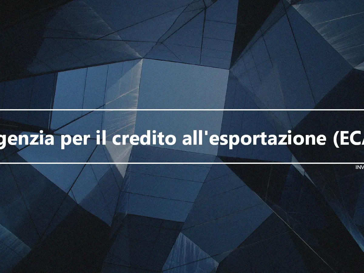 Agenzia per il credito all'esportazione (ECA)