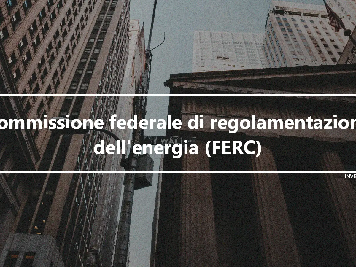 Commissione federale di regolamentazione dell'energia (FERC)