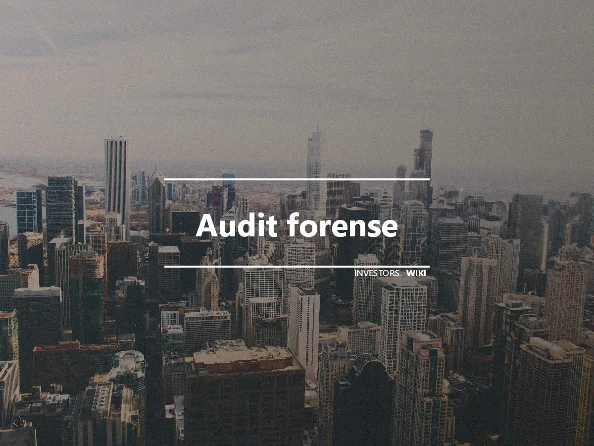 Audit forense